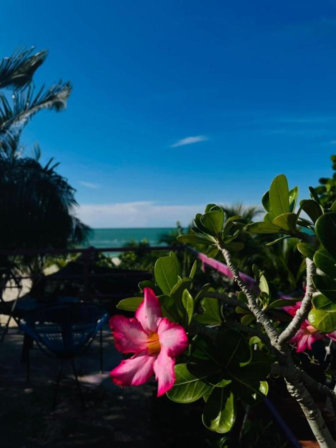 Hotel Gutierrez Celestun Luaran gambar